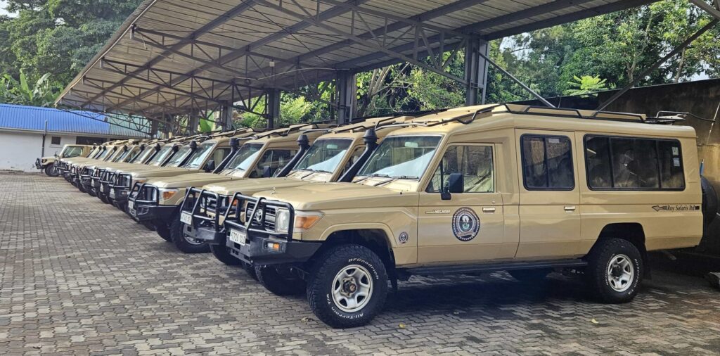 safari-fleet-min-1-scaled