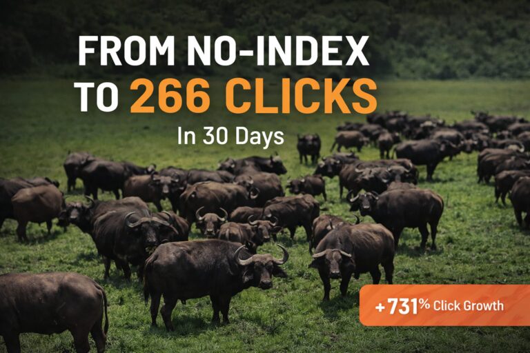 Roy Safaris SEO Recovery